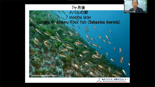 Offshore wind power that co-exists with the Goto region & fisheries